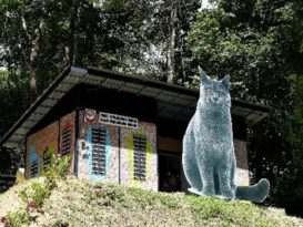 武吉巴勿丛林公园添新景点  龙运猫公园 引游客