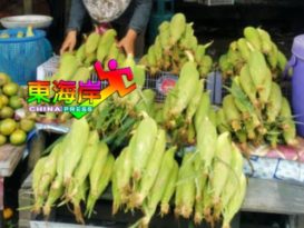 登游客大幅减少  小贩叹玉蜀黍卖不出