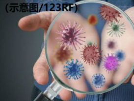 彭州新增2宗確诊病例  病患来自关丹及文冬