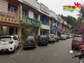 病例居高不下  市场行情转淡 武吉丁宜经济  难反弹