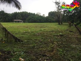 文积华校草场积水 水退遗下烂泥垃圾
