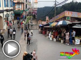 圣诞节连假带动 旅游区   热起来（有视频）