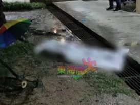 疑不堪病痛折磨     华男医院4楼跃下