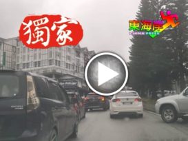 　◤复管令SOP◢金马仑绿区多游客    交通严重堵塞