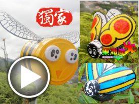 老虎山上 虫争艳  成为运动打卡区