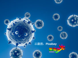 丹又有28人阳了 总病例达3221宗