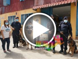 ◤看视频◢村民争相合照    警犬逛林明 引轰动