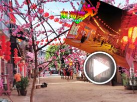 传统新村红彤彤迎客  成为拍照打卡热点