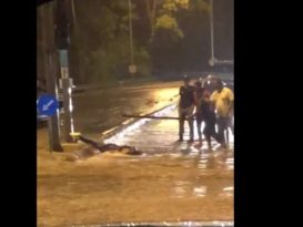 碰触红绿灯遭电殛 路人雨中送命！