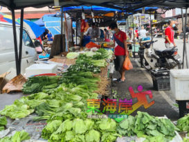 雨天运输影响供应 收成减半 菜价喊涨