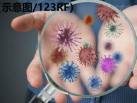 彭州新增42病例 皆是社区感染