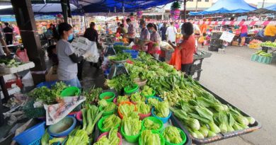 减少入口价偏高  中国 茨菇 莲藕热卖