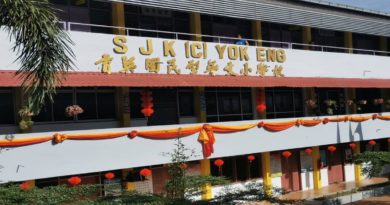 巴西马育英华小  春意浓