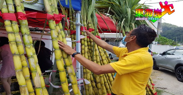 社交网微商永杰将待售甘蔗整齐排好，以吸引来往市民到站选购。