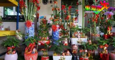 花圃花店人潮涌现    买花迎春  过好年