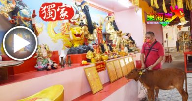 印裔“神牛”送财神庙  保佑文冬人平安