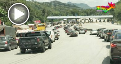 ◤新冠又一年◢虽不能跨州越县   加叻大道车流增加