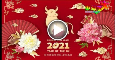 ◤看视频◢录制贺年短片   巫裔领袖   向华社拜年