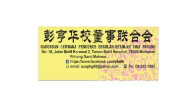 彭亨董联会吁撤销   而连突发展华小工委会理事控状