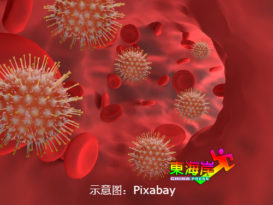 丹州确诊病例 单日新增31宗