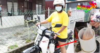 篮子旁加打包盛具  到处去也可叹文冬茶