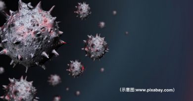 登州新增2确诊 2名病患痊愈