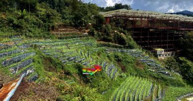 【今日东海岸】人手气候影响 产量大减   蔬菜价  节节攀升