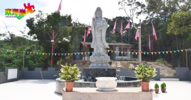 文冬观音菩萨石雕神像  成为拍照打卡旅游区