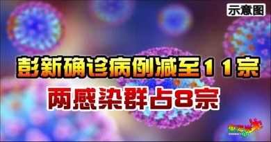 彭亨州新确诊病例减至11宗 两感染群占8宗