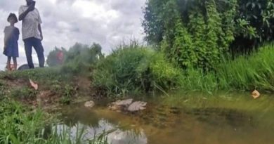 巨鳄频出没废矿湖  民众受促保持距离