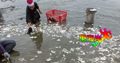 市民捡鱼虾2视频   鱼业公会澄清  遭扭曲