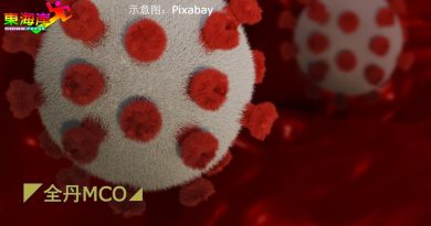丹首现变种病毒 疑与跨州有关