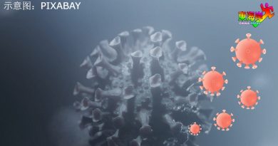 单日297新确诊2死 南非变种病毒株袭丹