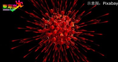 丹单日613新确诊 增2感染群 夺一命