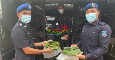 起800公斤葛冬叶   丹水警逮捕5嫌犯