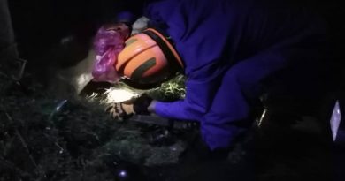 母狗沟中产10小犬       8只获救幸存