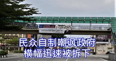 民众自制嘲讽政府     横幅迅速被拆下