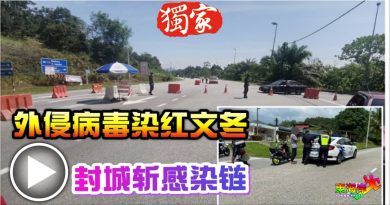◤6月封城◢ 外侵病毒染红文冬  市议会主席：封城  斩  感染链