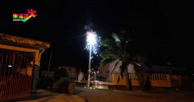 街灯电线短路   直凉玛祖花园停电1小时