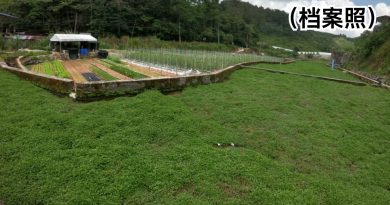 更新：爆发感染群封2周   金马仑直冷甲 强管