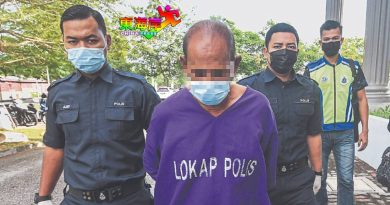 被控与未成年继女乱伦 小园主不认5罪名