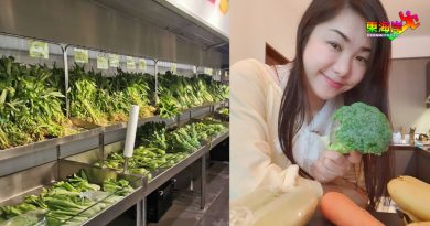 延长保鲜减少浪费 正确囤菜 吃得更健康