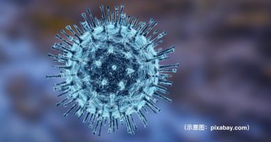 登州新增123宗确诊 1名病患病逝