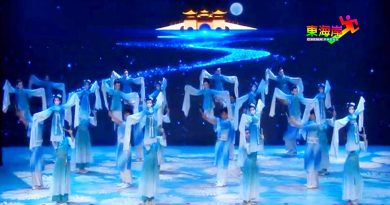 46国青少年 云课堂交流  全马339人 学中华文化