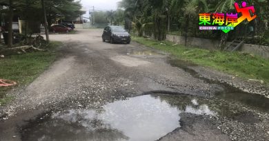 逾20尺路坑   藏杀机    几乎隔断通路盼速修