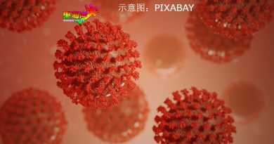 丹又502人确诊 再增3感染群
