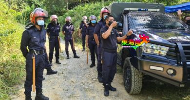 劳勿榴槤非法芭执法行动   彭亨森林局主任：未违反庭令