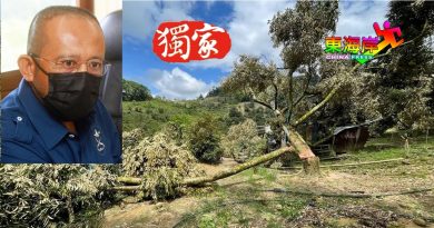 盛产季节取缔被批无情  局长：何时才是好时机？