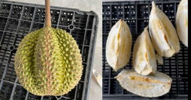 黑刺榴槤空壳无肉 RM140买了个寂寞