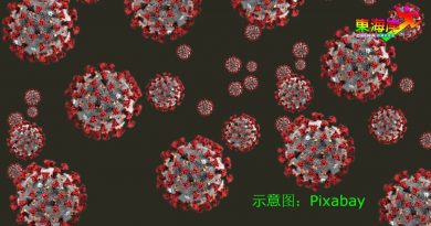 丹又1039人染疫 增7感染群 0死亡